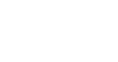 De Brass Leeuwarden Logo